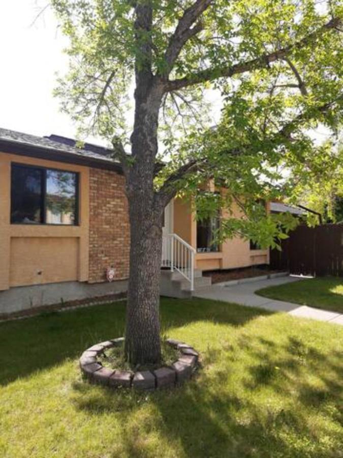 Cozy Home With Comfortable Beds And Fully Equipped Kitchen 15 Mins Drive From Airport, Downtown, Sait And U Of C And 80 Min Drive To Banff YYC Eksteriør bilde